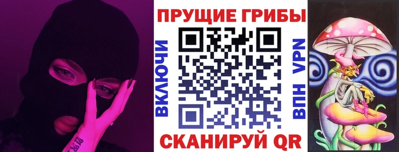 Псилоцибиновые грибы Cubensis  Купить  Шали 