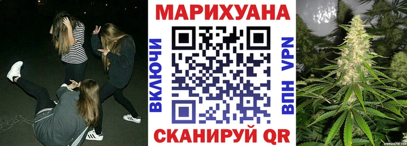 Купить где  Шали  Марихуана ГИДРОПОН 